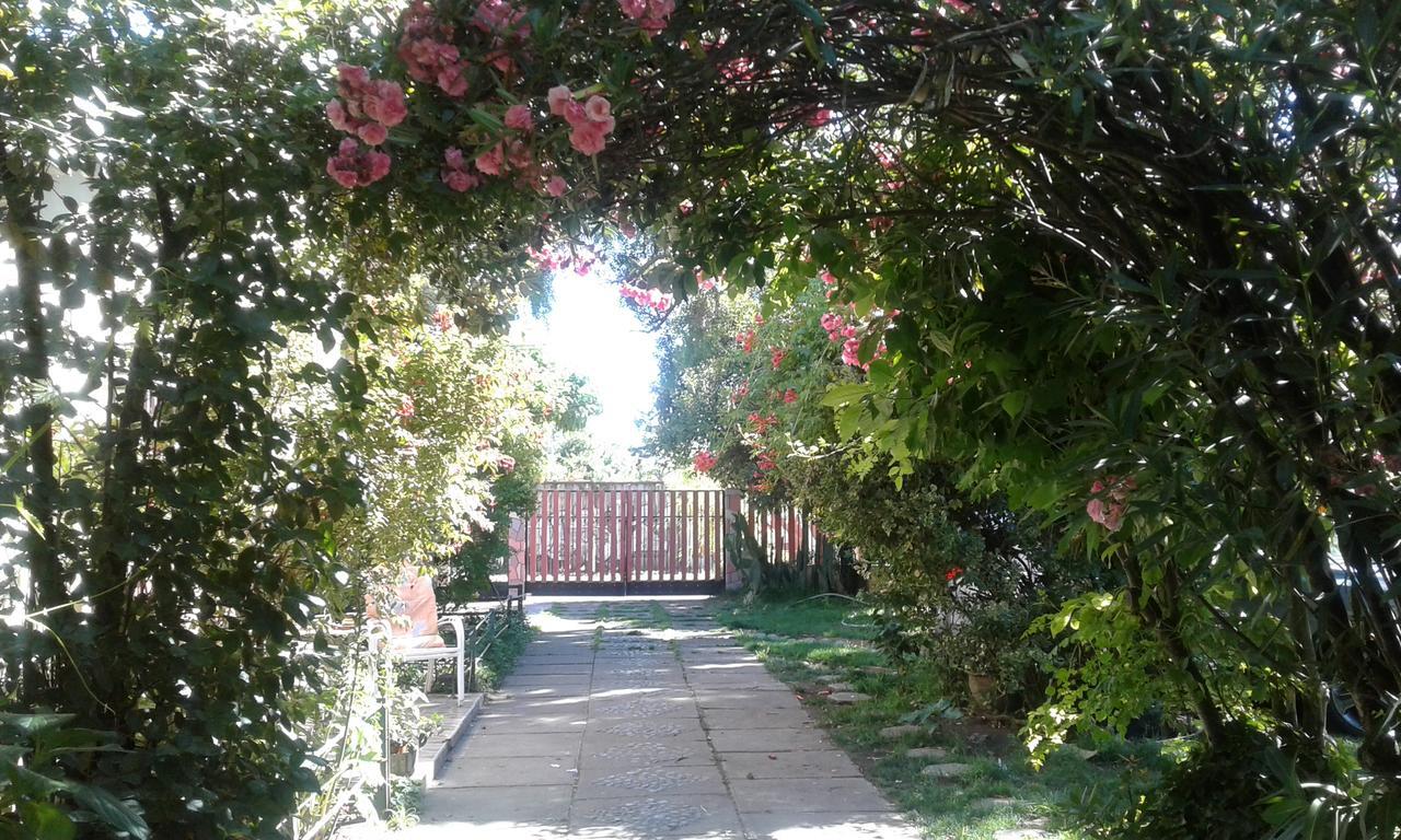 Puerta Del Sol Molina B&B Buitenkant foto